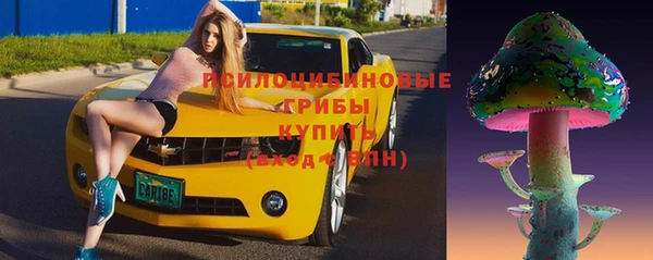 индика Баксан