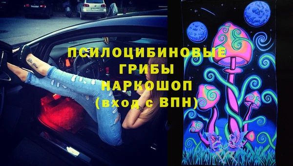 индика Баксан