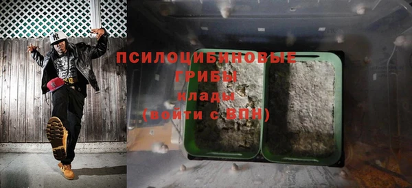 индика Баксан