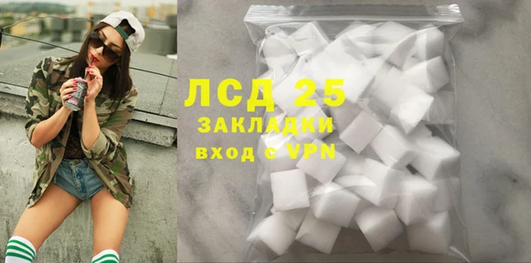 индика Баксан