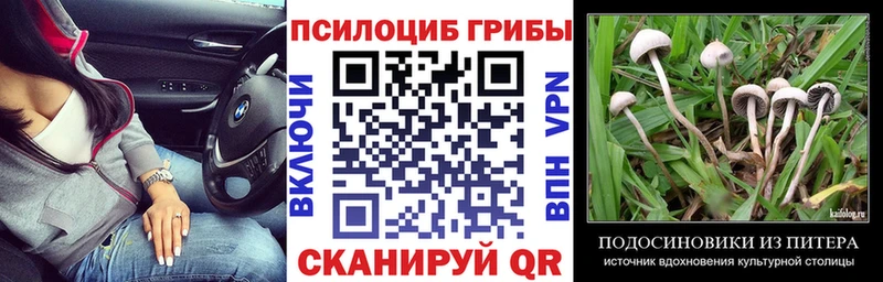 это какой сайт  Макарьев  Галлюциногенные грибы MAGIC MUSHROOMS  купить наркоту 